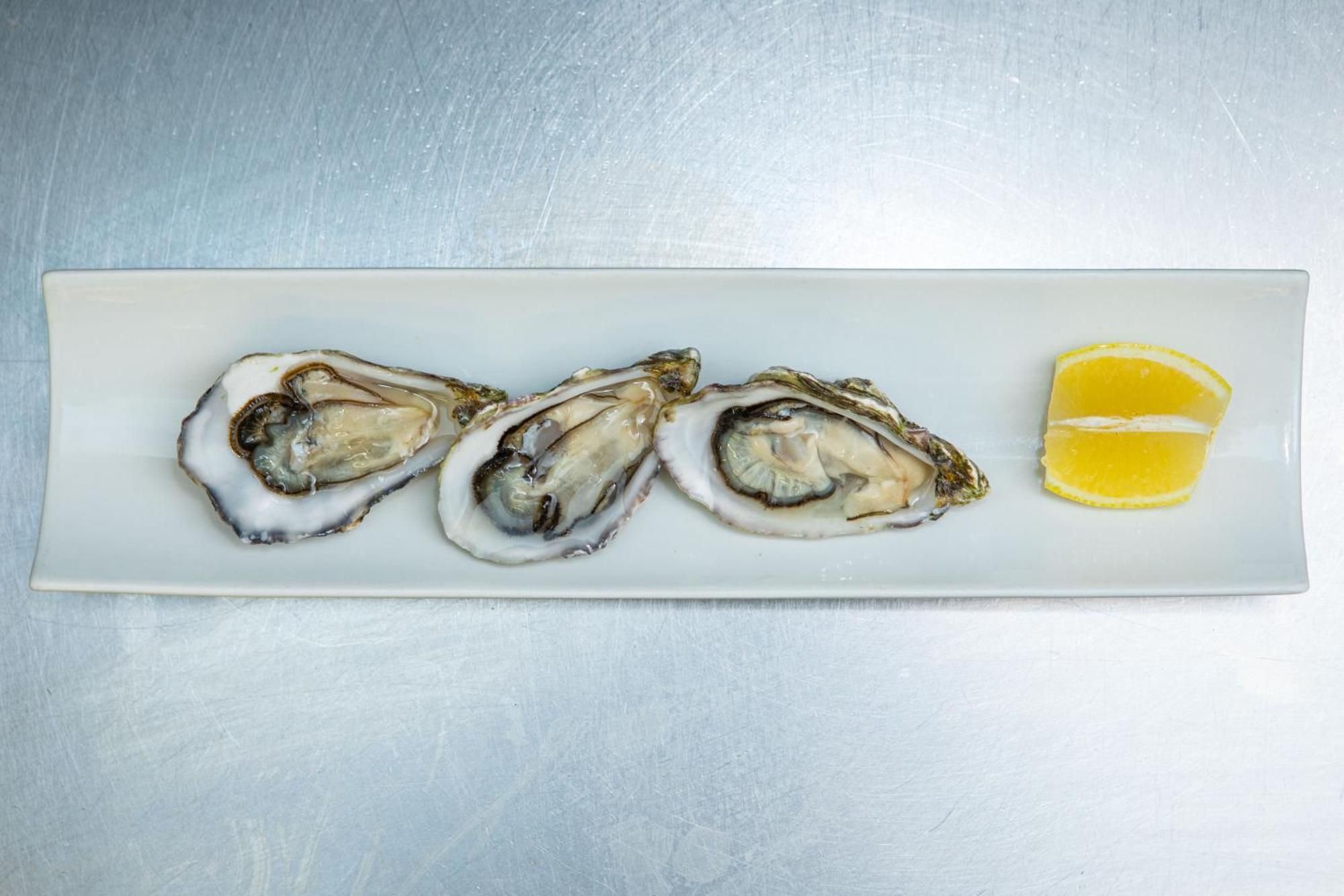 Ashes Seafood Restaurant Accommodation Dingle Exteriér fotografie