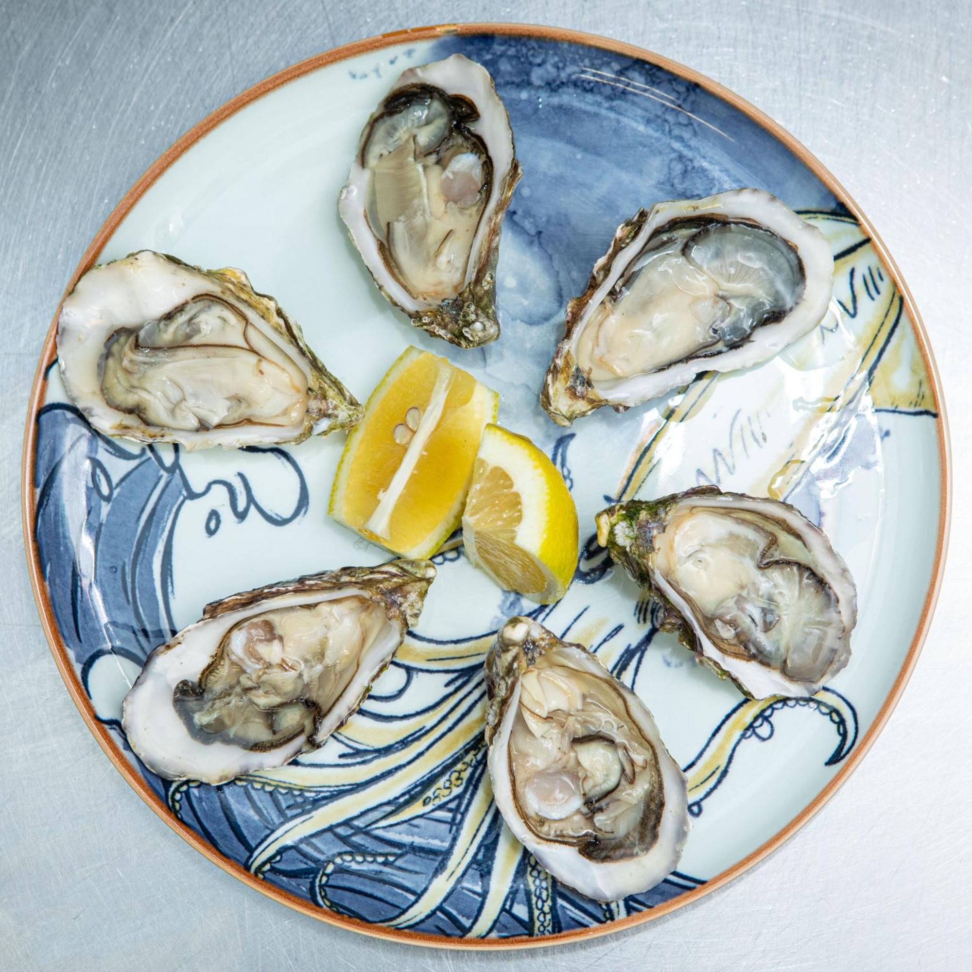Ashes Seafood Restaurant Accommodation Dingle Exteriér fotografie